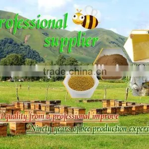 100% Pure Propolis/high Quality Bee Propolis thumbnail-3