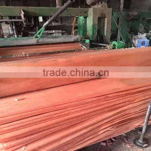 Best Quality Pencil Cedar Veneer/Manufacturer Pencil Cedar Face Veneer thumbnail-4