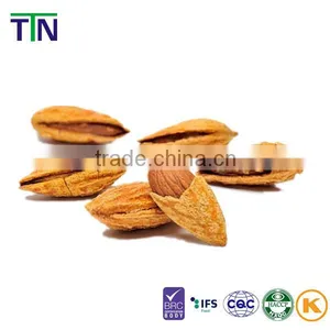 TTN Xinjiang Chinese Almond Kernel Almond Nuts Prices For Sale thumbnail-5
