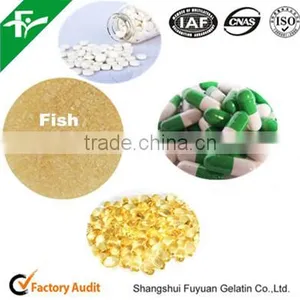 Fish Gelatin for Capsules/Tablet,Pharmaceutical Gelatin/Medical Gelatin thumbnail-1