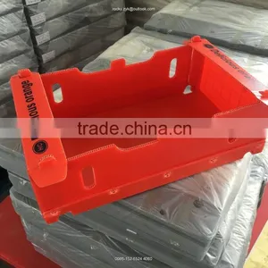 Corrugated PP Orange Package Box Packing Carton for Orange thumbnail-1