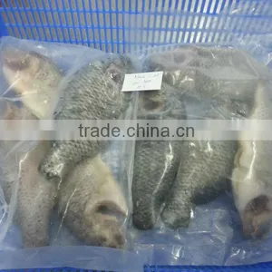 FROZEN BLACK TILAPIA WHOLE ROUND thumbnail-5