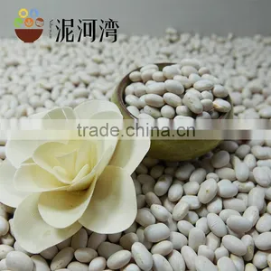 White Kidney Bean Size 200-220pcs White Bean 2016 Crop With Market Price thumbnail-4