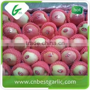 Red Chief Royal Gala Apple in Competitive Prices thumbnail-5