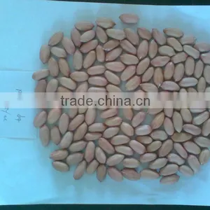 FLOWER11 FLOWER 17 PEANUT KERNEL thumbnail-2