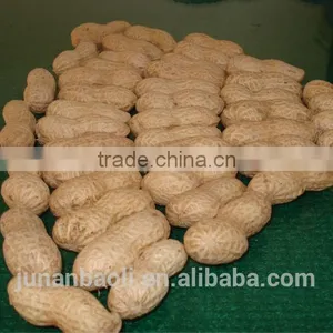 Roasted Peanut Inshell thumbnail-1