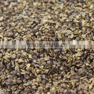 Raw Wild Black Goji Seeds for Planting Organic Goji Berry Seeds thumbnail-1