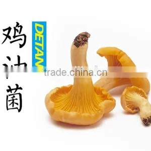 Whole Fresh Cantharellus Cibarius Professional Supplier thumbnail-4