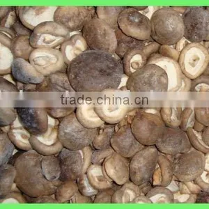 Frozen Shiitake thumbnail-1