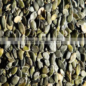 Bulk Pumpkin Kernels Grow Without Shell for Oil Use Export Grade thumbnail-2