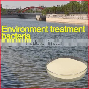 Specialized Bacterium for Wastewater Treatment , Free Trial Order thumbnail-1
