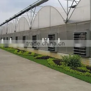 Exhaust Fan / Vacuum Fan/poultry Greenhouse Fan in China thumbnail-4