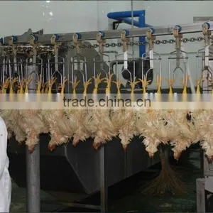Full Set Poultry Slaughter Machine and Equipment 008618052092685 thumbnail-1