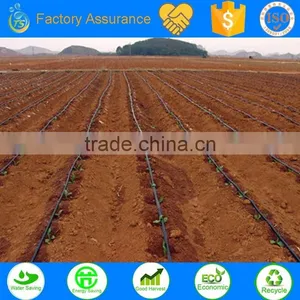 Drip Irrigation Drip Tape for Sale thumbnail-1