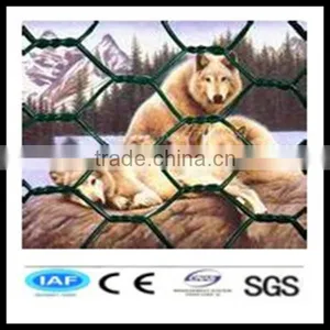Competitive Pvc Chicken Wire Net thumbnail-1