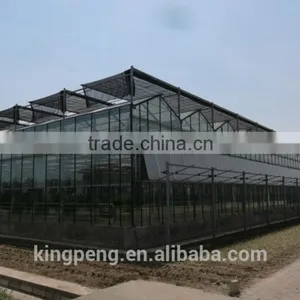 Venlo Tempered Glass/float Glass Greenhouse With Hydroponic Growing thumbnail-4