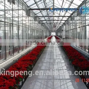 Multi Span Polycarbonate Sheet Greenhouse thumbnail-4