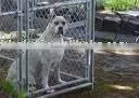 Galvanized Metal Animal Cage thumbnail-1