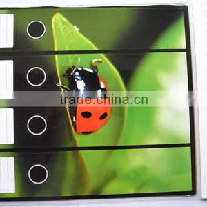 Paper Cardboard File Folder Sticker thumbnail-1
