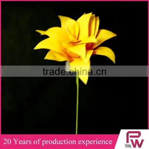 Wholesale Large Indoor Tropical Plants thumbnail-5