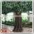 Factory Large Indoor Decor Artificial Fake Plastic Fiberglass Trees thumbnail-6
