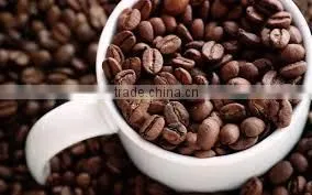 Coffee Bean Extract thumbnail-2