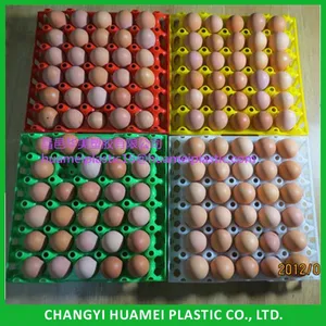 Packing Transport Tray Plastic Chicken Egg Tray 30 Holes Egg Tray Price thumbnail-4