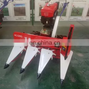 Green Alfalfa Grass Cutting and Binding Machine / Alfalfa Reaper Binder Harvester thumbnail-1