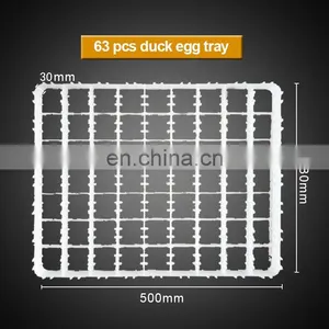 Egg Incubator Hatcher Parts Sales Duck / Chicken / Goose / Quail / Ostrich Egg Trays for Sale thumbnail-4