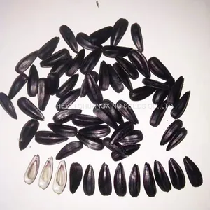 Big Size High Quality Chinese Purple Sunflower Seeds for Growing thumbnail-1