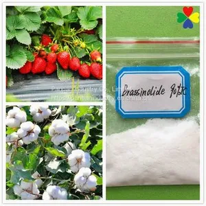 Agriculture Plant Growth Regulator Natural Pesticide Brassinolide 90%tc thumbnail-3