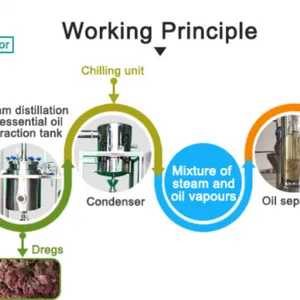 Factory Genyond Pine Needles Essential Oil Distiller Distillation Equipment Extractor Extracting Machine thumbnail-5