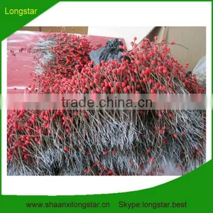Decoration Christmas Artifical Fruits thumbnail-1