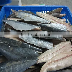 Frozen Spanish Mackerel Fillets thumbnail-1