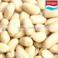 Blanched Peanut thumbnail-1