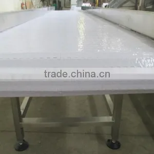 Horizontal Belt Conveyor for Fish thumbnail-4