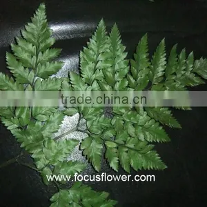 Home Decor Fresh Leather Leaves Fern For Wedding Leather Process Plant Fern thumbnail-5