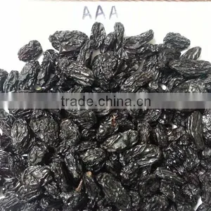 Black Raisin Jumbo. thumbnail-1