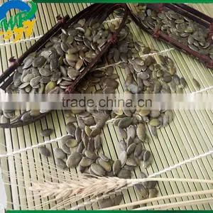 Pumpkin Seed Grow Without Shell GWS Low Price thumbnail-3