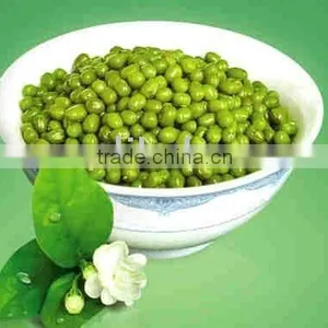 Organic Mung Bean thumbnail-1