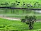 Eco-solvent PP 180 thumbnail-1