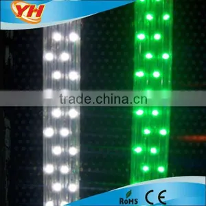 Beautiful Rope Lights thumbnail-1