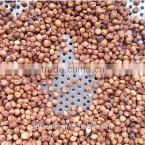 Chinese Red Sorghum thumbnail-5