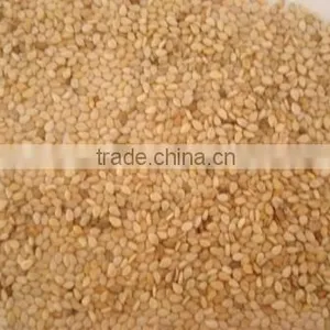 Sesame Seed thumbnail-1