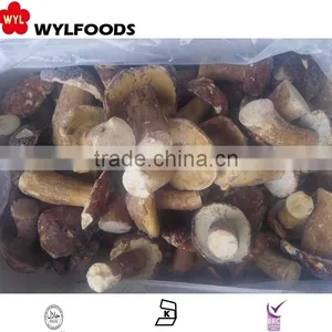 Top Sale Best Price Frozen Suillus Granulatus 2016 thumbnail-1