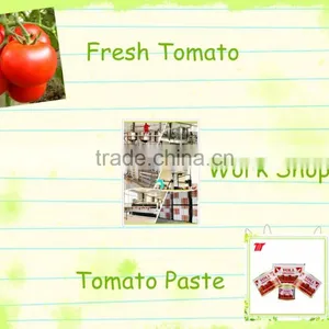 Certifications Red Colour High Quality Sachat Tomato Paste thumbnail-5