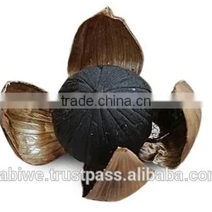 High Quality Single Clove Black Garlic Made in Vietnam thumbnail-2