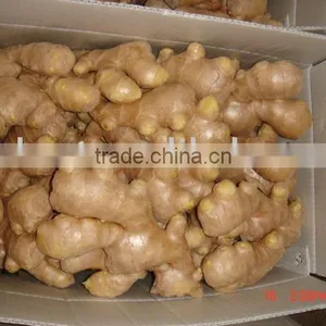 Chinese Cheaper Fresh Ginger thumbnail-1