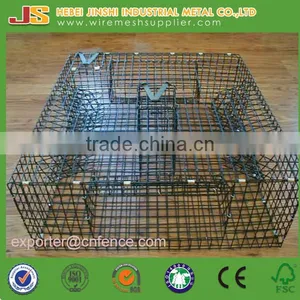 Crab Trap Box/ Crab Trap Cage thumbnail-5