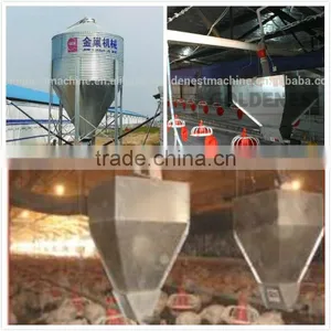 Inside Storage Silo for Poultry Feeding System thumbnail-1